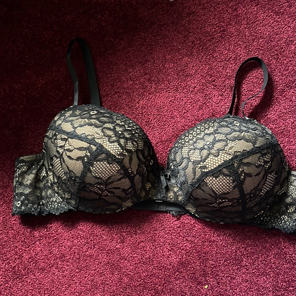 Nwot tag 40d torrid bra